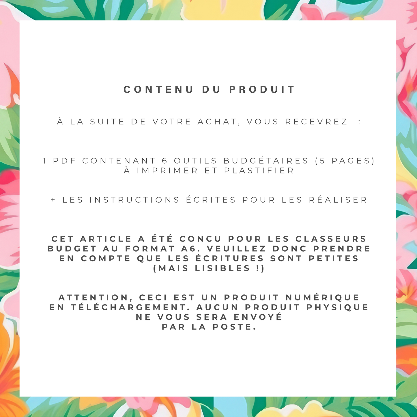 Kit Budget Planner Mini A6 - Tropical (digital)
