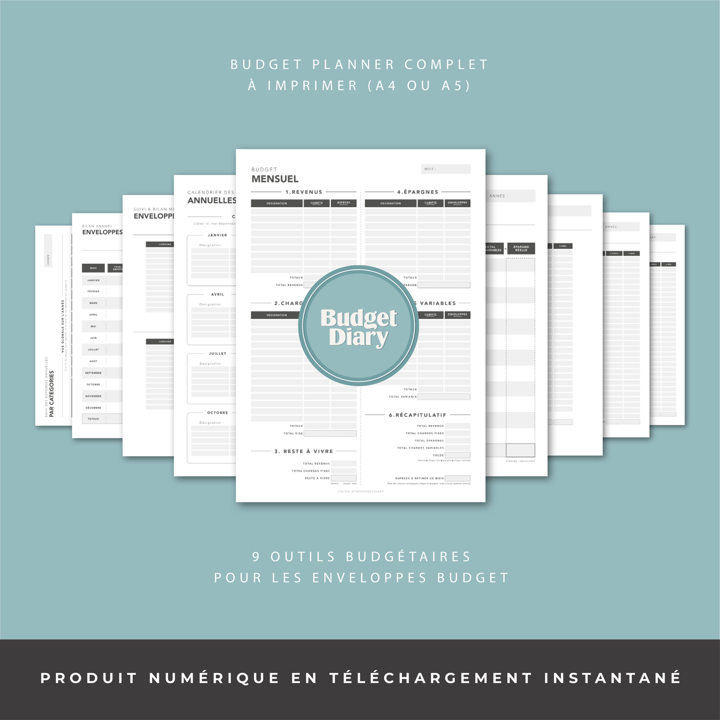 Planner Budget Annuel - Spécial Enveloppes Budget (digital)