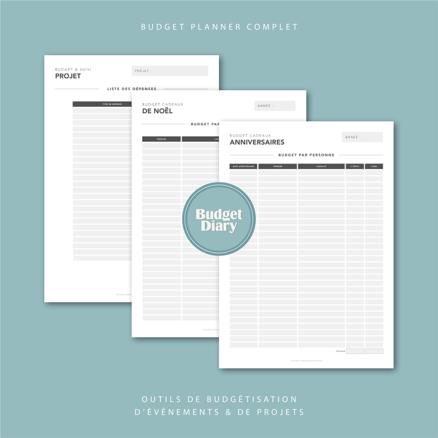 Planner Budget Annuel - Spécial Enveloppes Budget (digital)