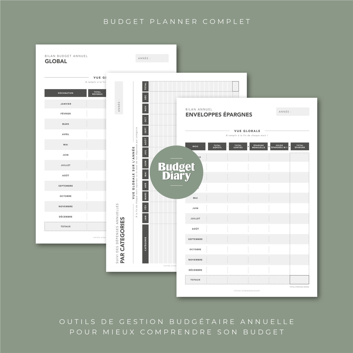 Planner Budget Annuel -  Spécial Enveloppes Budget (digital)
