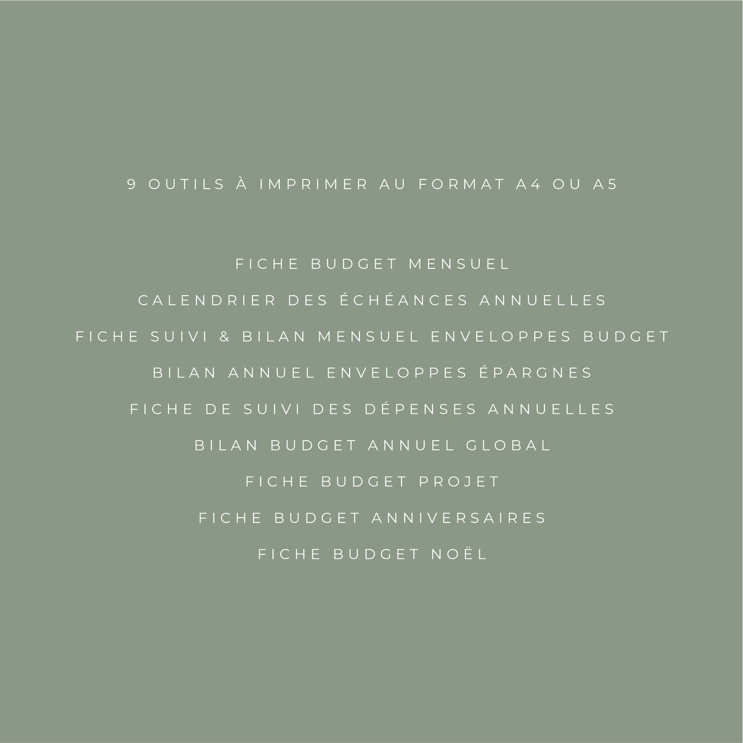 Planner Budget Annuel - Spécial Enveloppes Budget (digital)