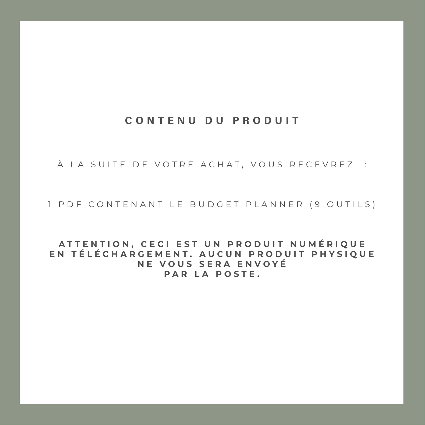 Planner Budget Annuel - Spécial Enveloppes Budget (digital)