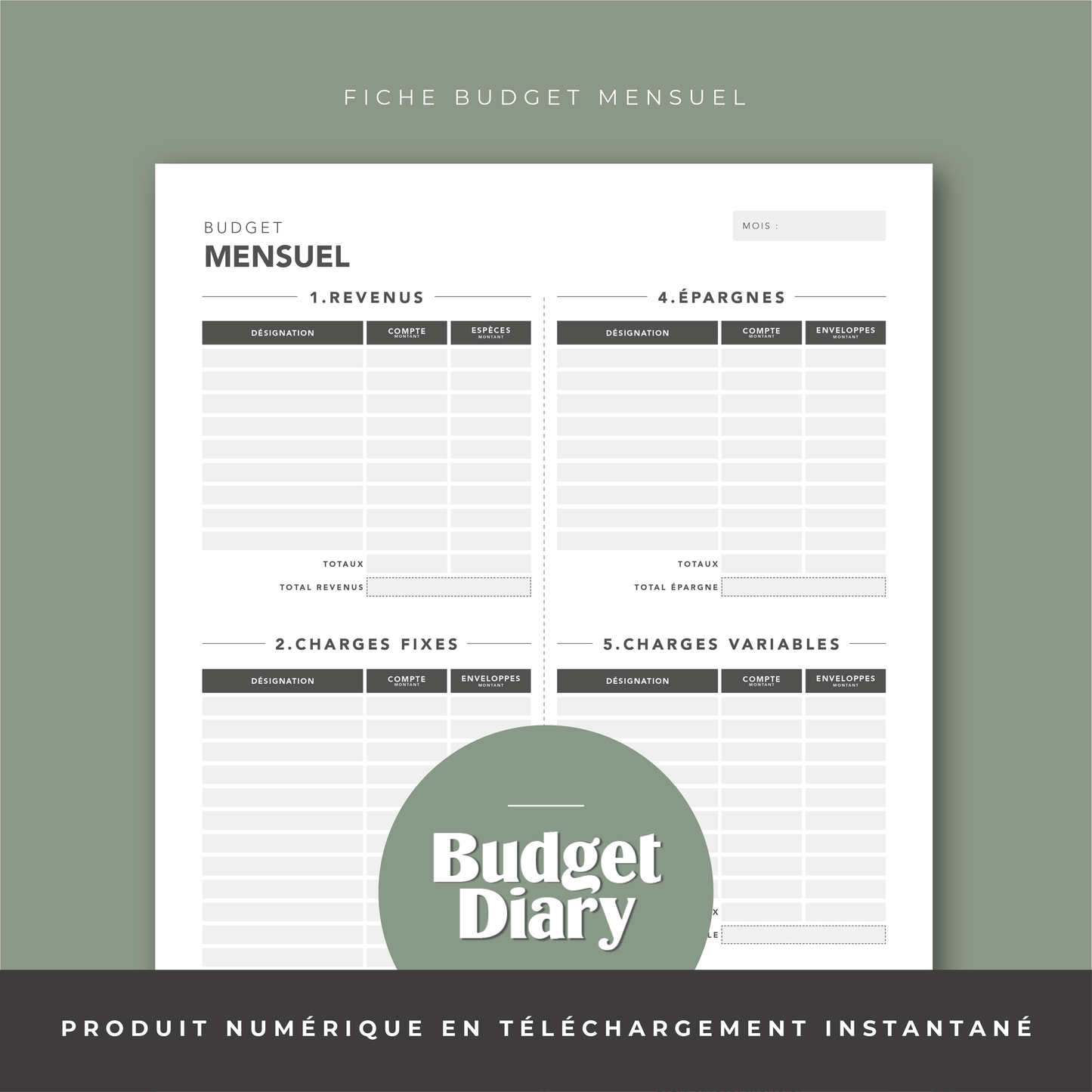 Fiche Budget Mensuel 