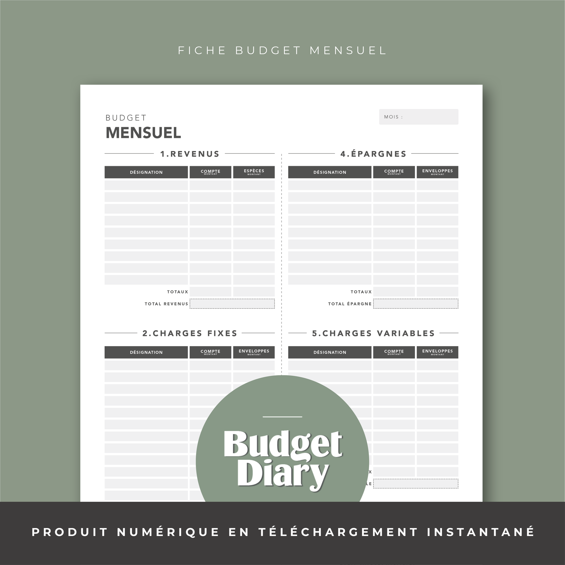 https://budgetdiary.fr/cdn/shop/products/FicheBudget.png?v=1678402882&width=1946
